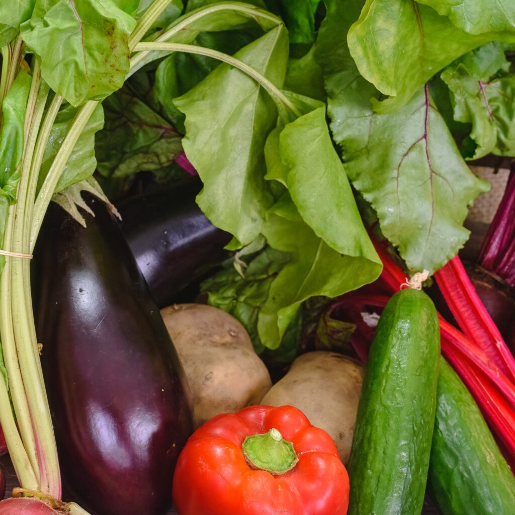 Organic veg box - aubergine and cucumbers